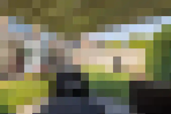 Loiredal 30 Doetinchem thumbnail 23