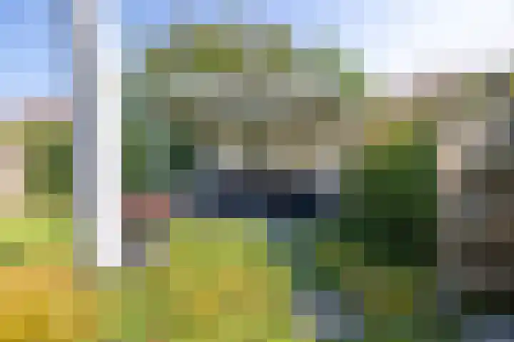 Loiredal 30 Doetinchem thumbnail 24