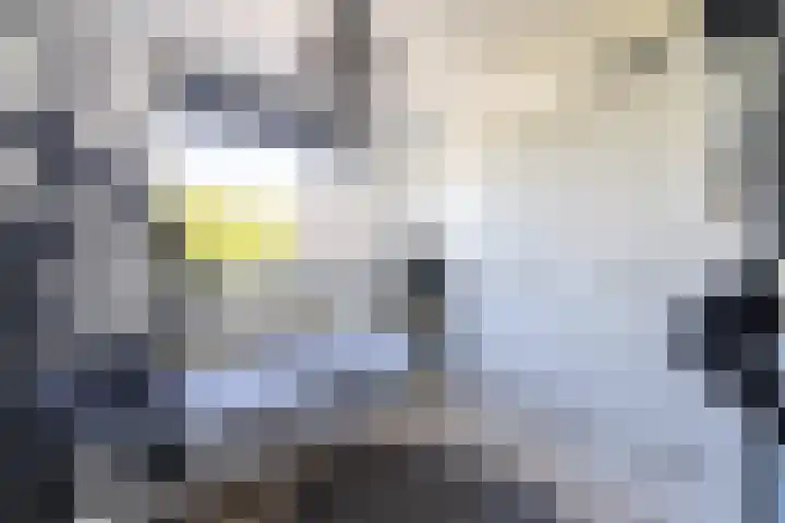 Loiredal 30 Doetinchem thumbnail 35
