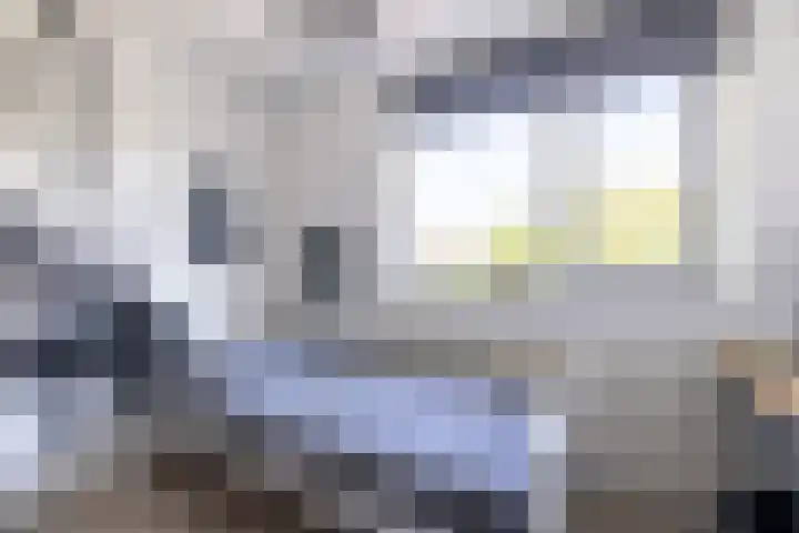 Loiredal 30 Doetinchem thumbnail 36