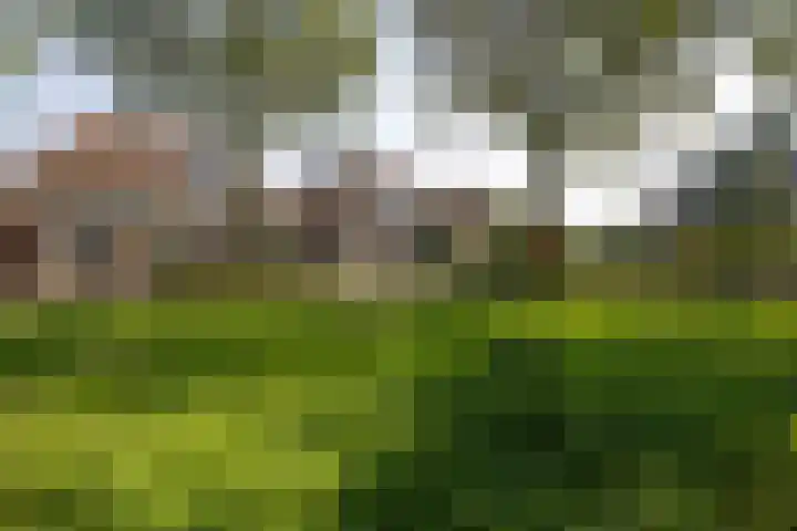 Loiredal 30 Doetinchem thumbnail 52