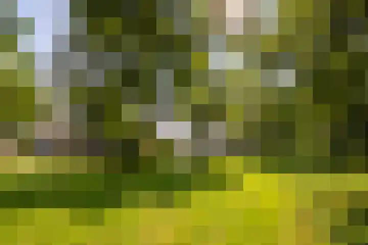 Loiredal 30 Doetinchem thumbnail 53