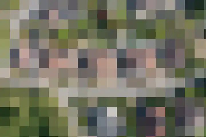 Loiredal 30 Doetinchem thumbnail 55