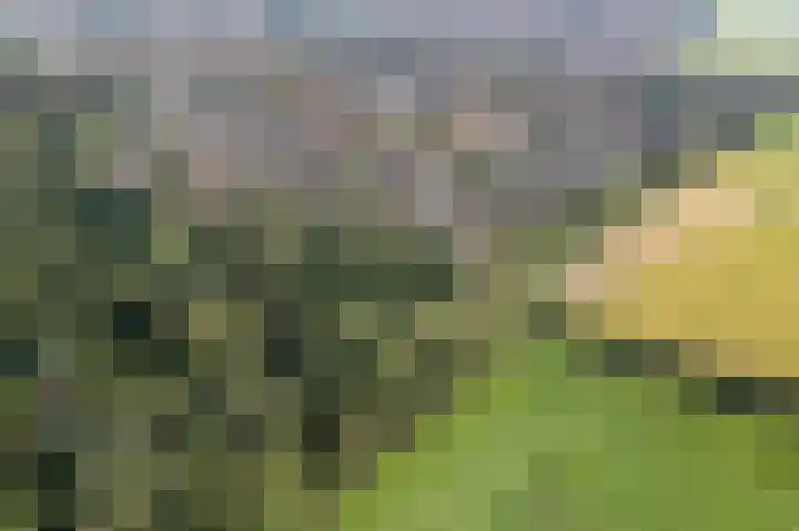 Loiredal 30 Doetinchem thumbnail 57