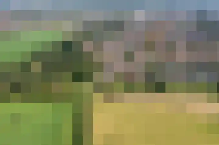 Loiredal 30 Doetinchem thumbnail 58