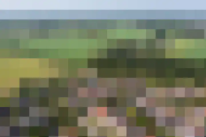 Loiredal 30 Doetinchem thumbnail 59