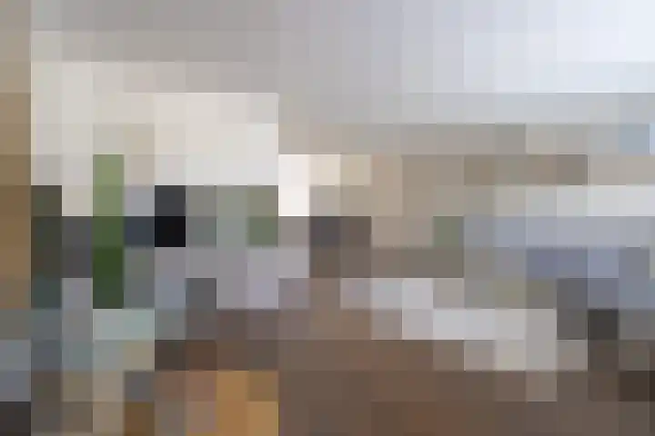 Loiredal 30 Doetinchem thumbnail 6