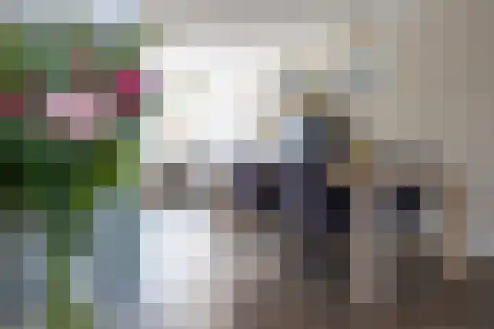 Loiredal 30 Doetinchem thumbnail 9