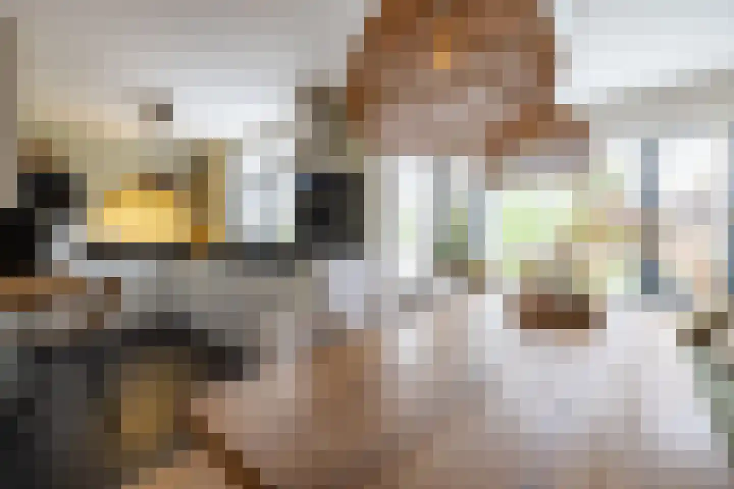 Loiredal 66 Doetinchem thumbnail 13