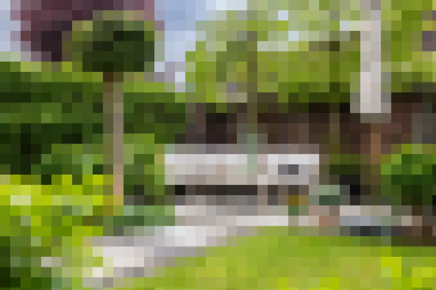 Loiredal 66 Doetinchem thumbnail 30