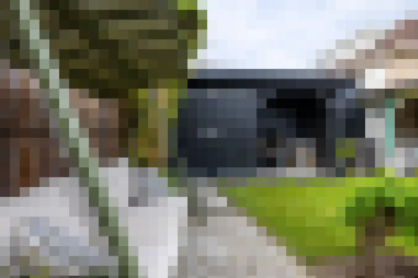 Loiredal 66 Doetinchem thumbnail 32