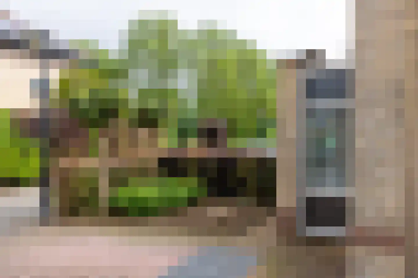 Loiredal 66 Doetinchem thumbnail 55