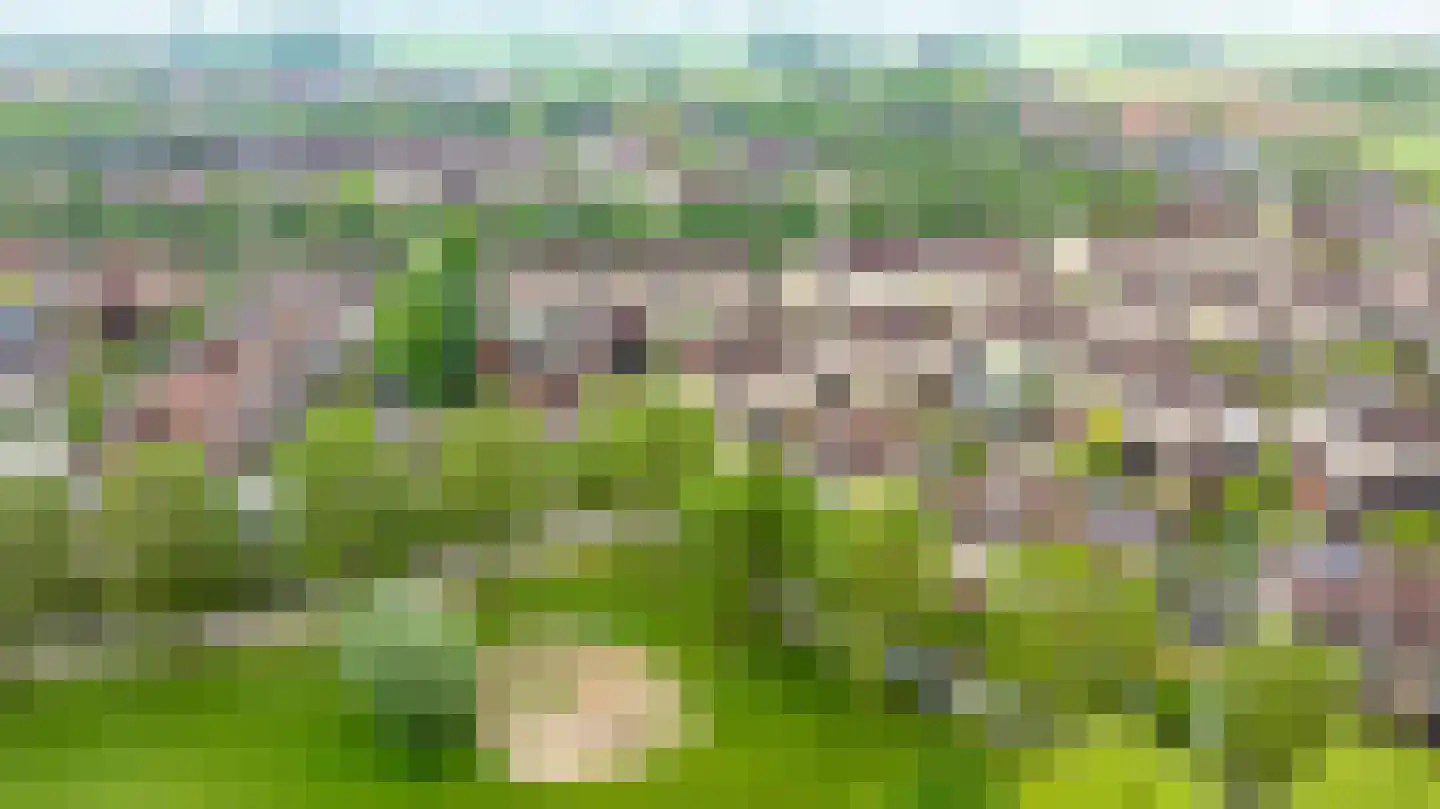 Loiredal 66 Doetinchem thumbnail 63