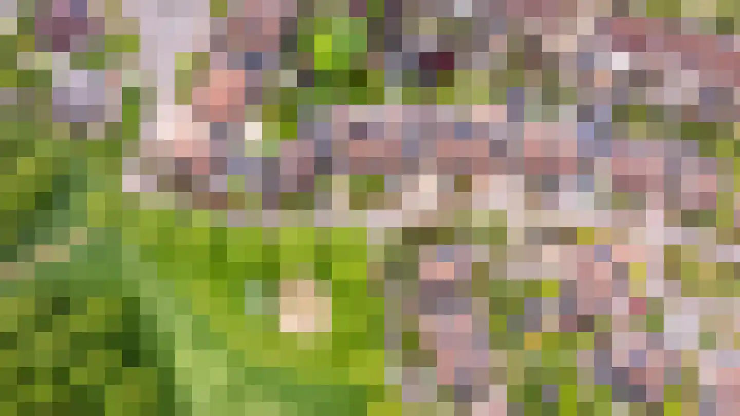 Loiredal 66 Doetinchem thumbnail 64