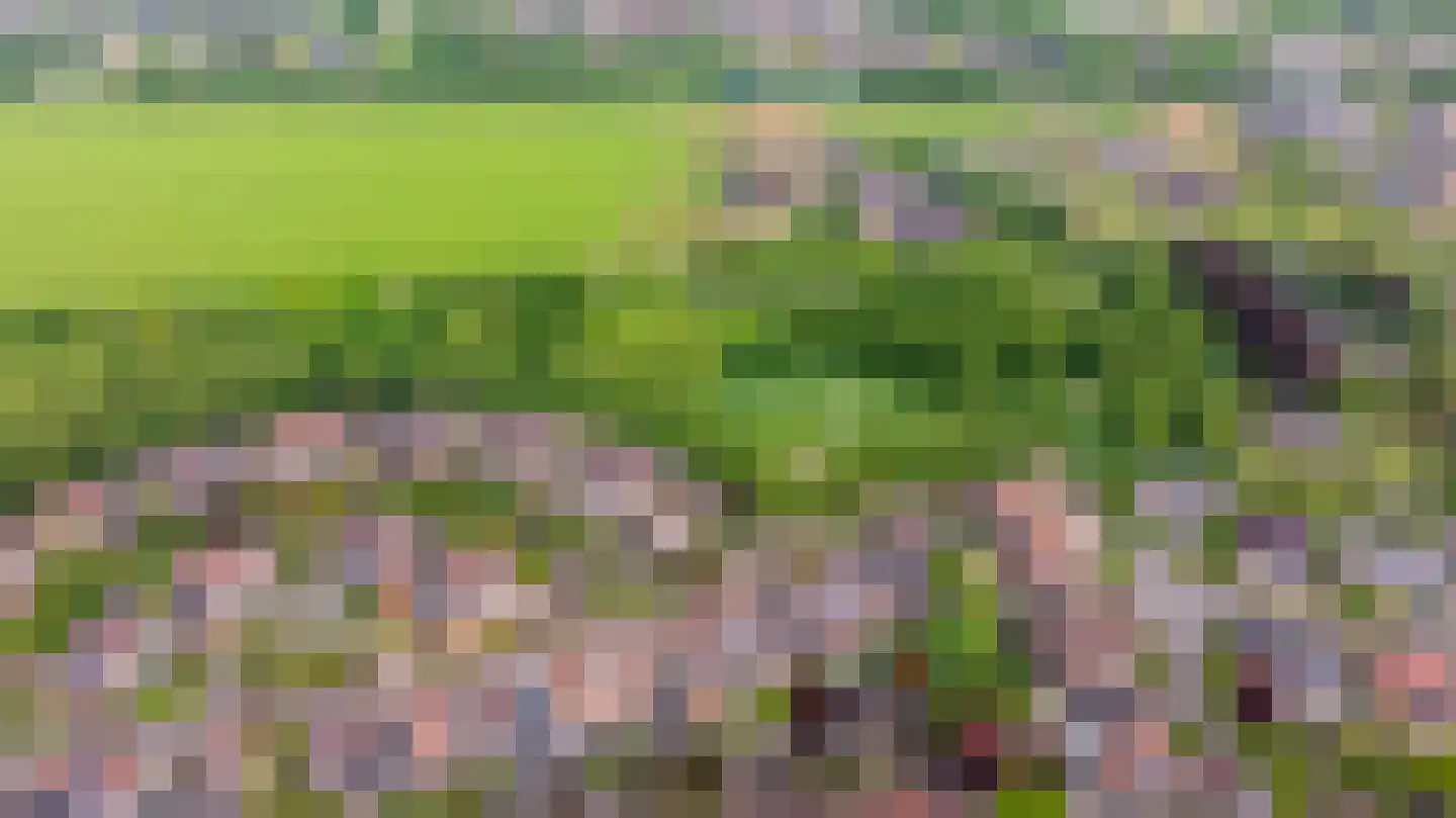 Loiredal 66 Doetinchem thumbnail 65