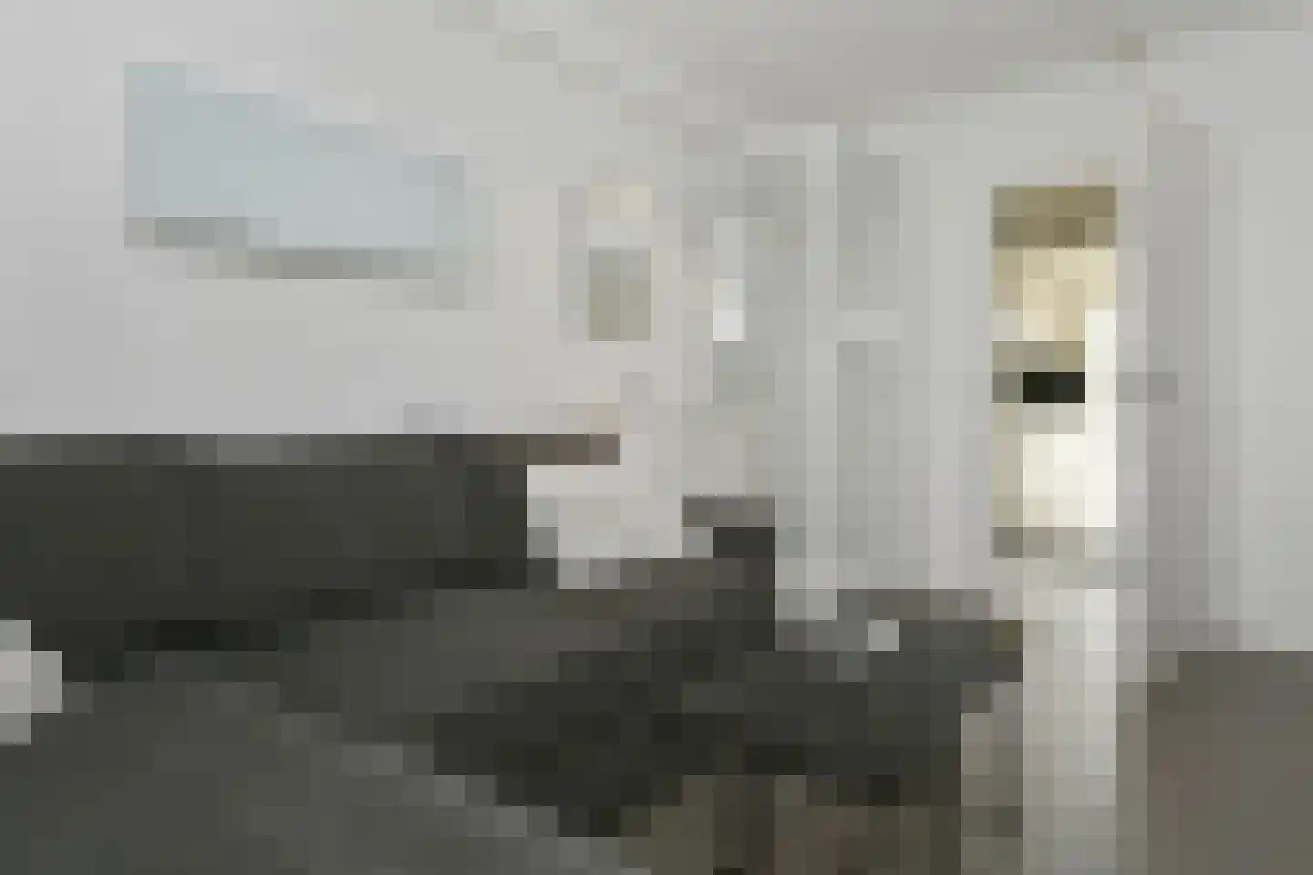 Loirelaan 6 Eindhoven thumbnail 22