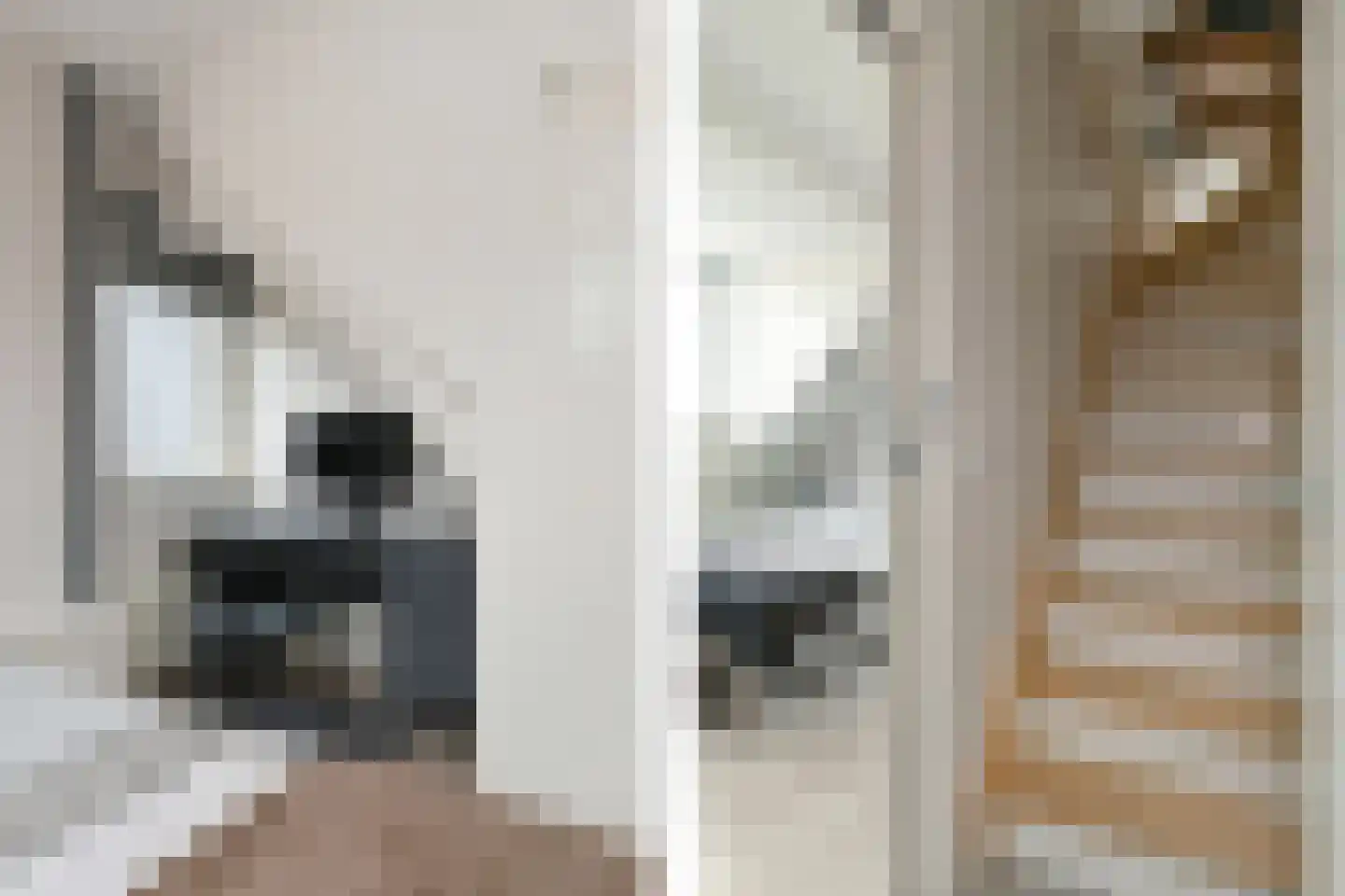 Loirelaan 6 Eindhoven thumbnail 34