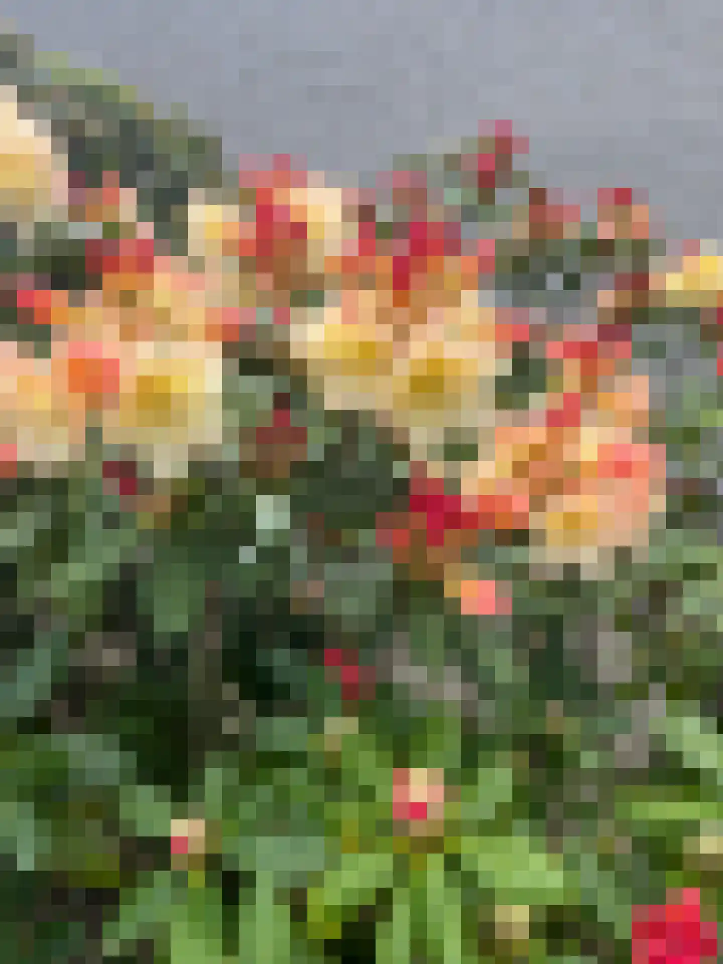 Loirelaan 6 Eindhoven thumbnail 41