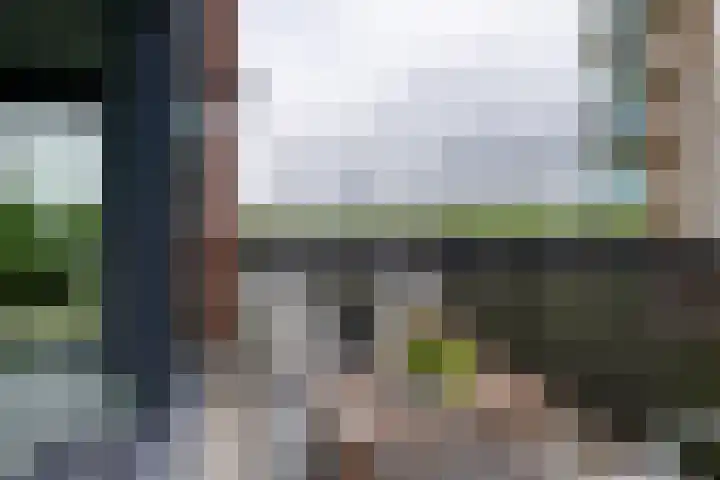 Loirestraat 173 Purmerend thumbnail 30