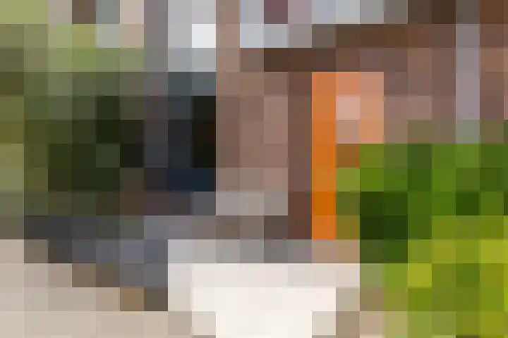 Loirestraat 20 Purmerend thumbnail 8