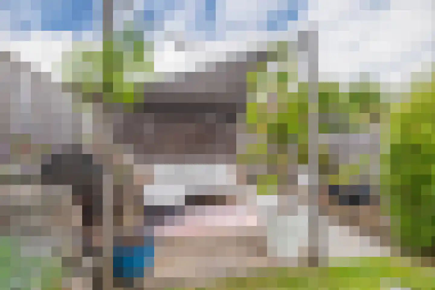 Lokaalspoor 16 Arnhem thumbnail 24