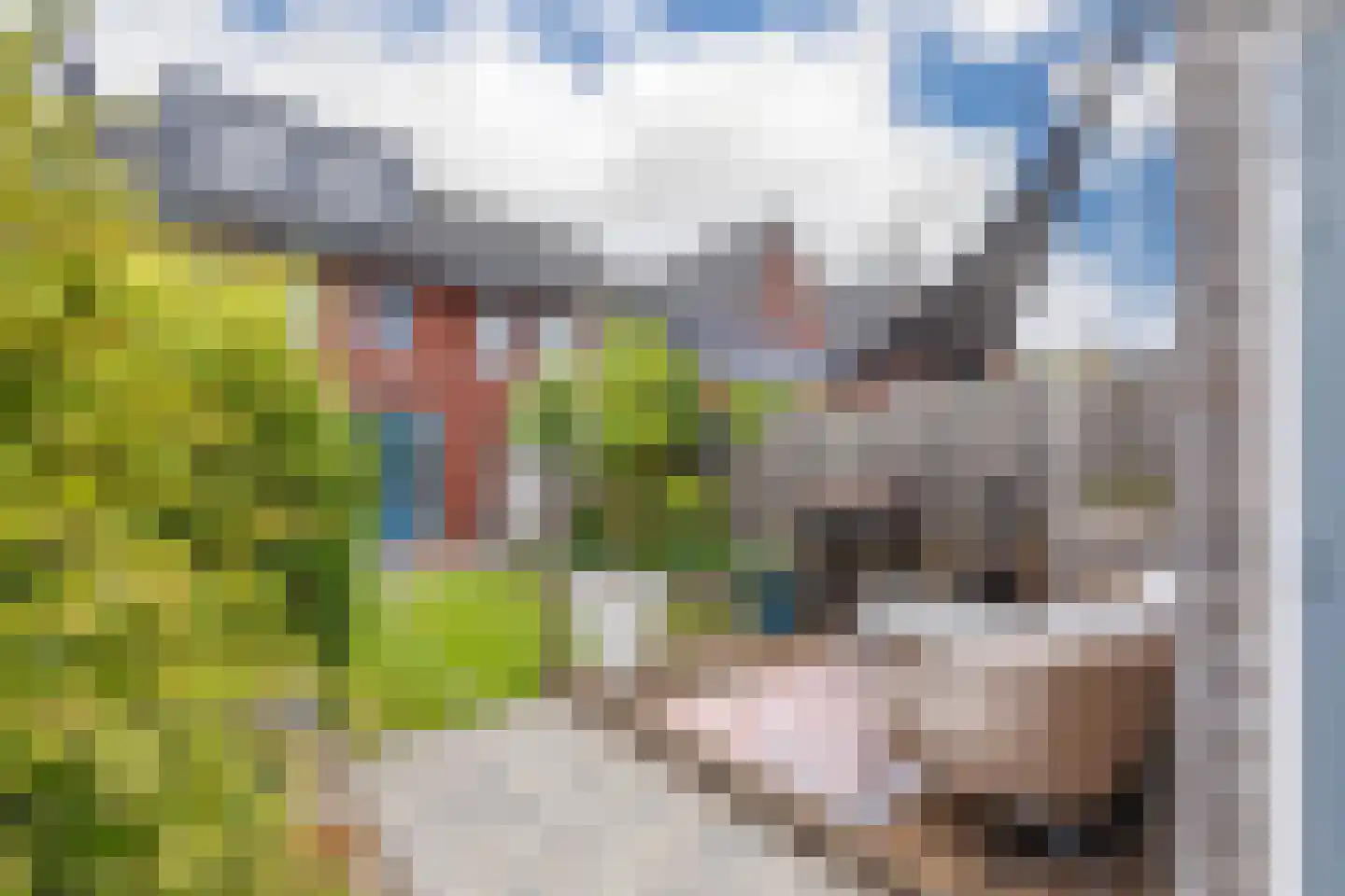 Lokaalspoor 16 Arnhem thumbnail 25