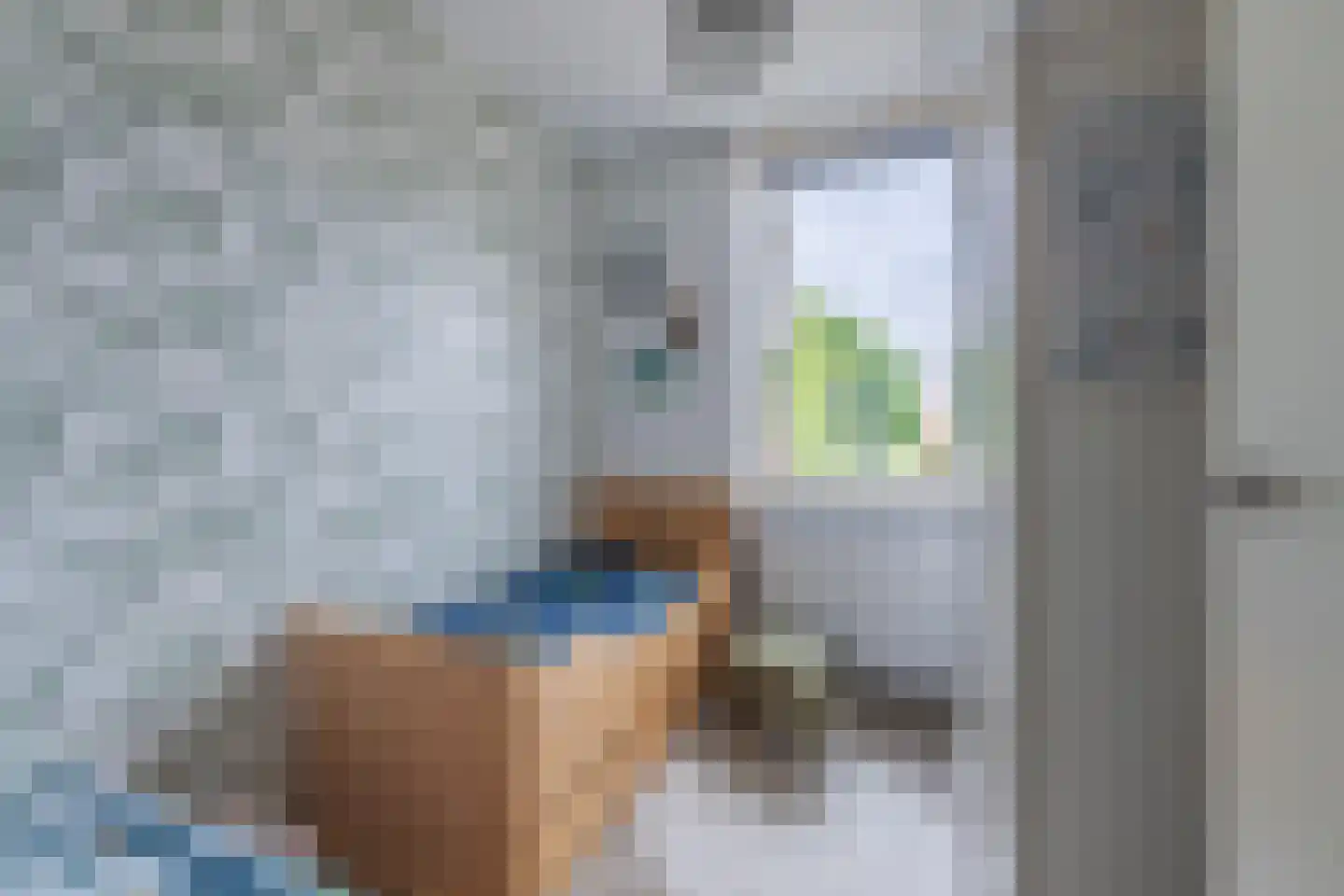 Lokaalspoor 16 Arnhem thumbnail 28