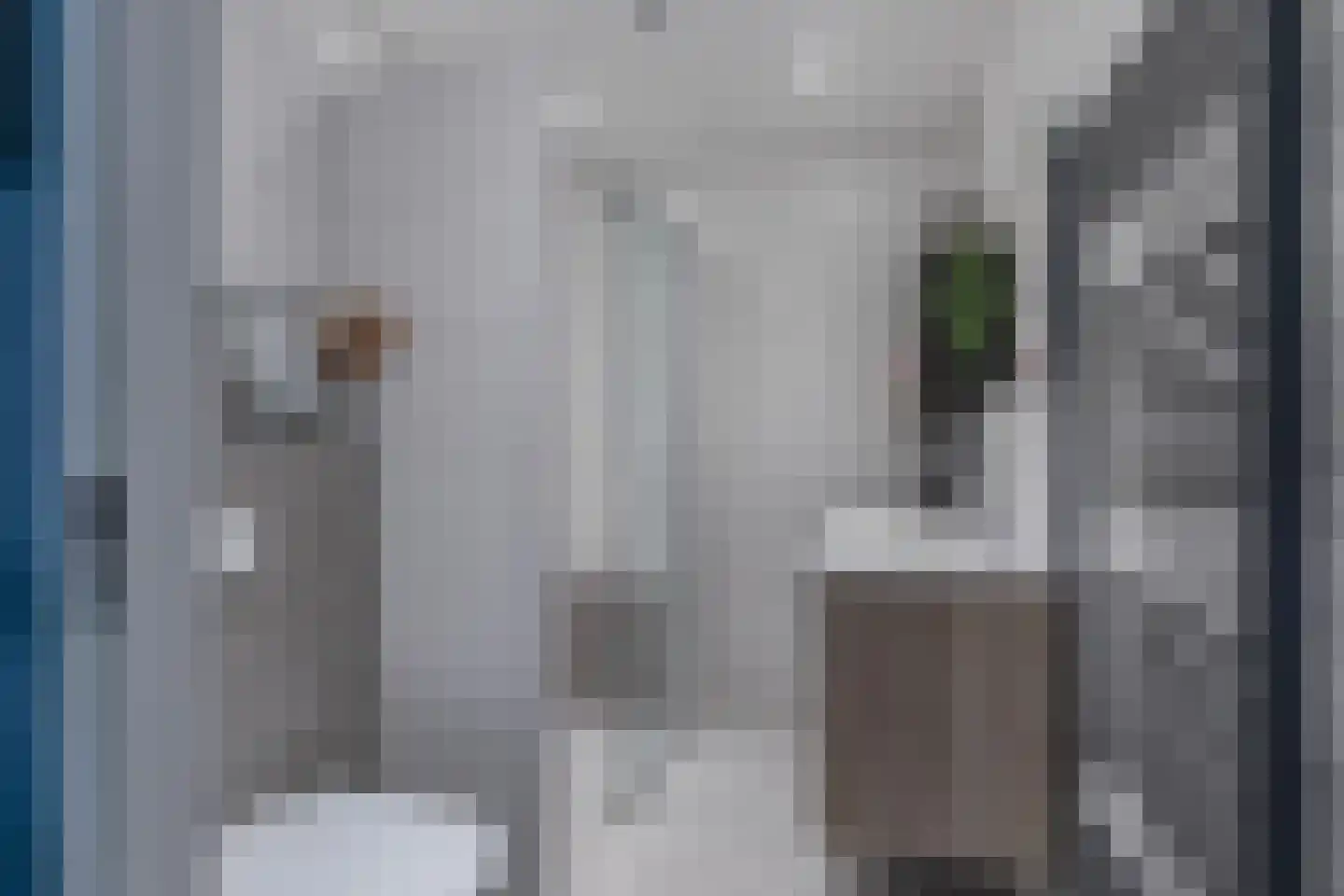 Lokaalspoor 16 Arnhem thumbnail 32