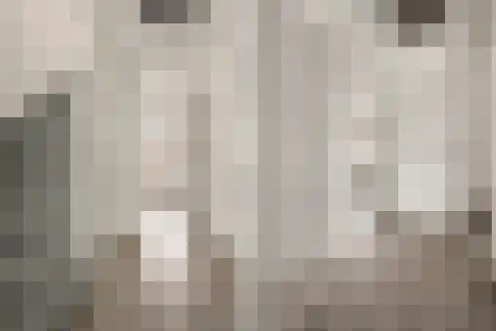 Lokaalspoor 24 Houten thumbnail 15