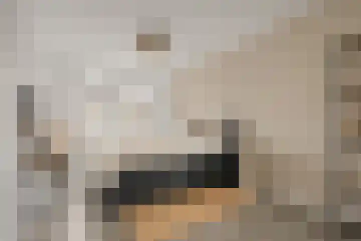 Lokaalspoor 24 Houten thumbnail 17