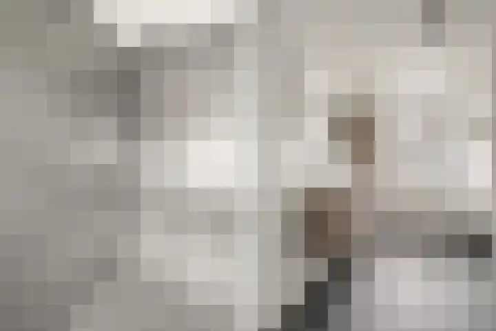 Lokaalspoor 24 Houten thumbnail 21