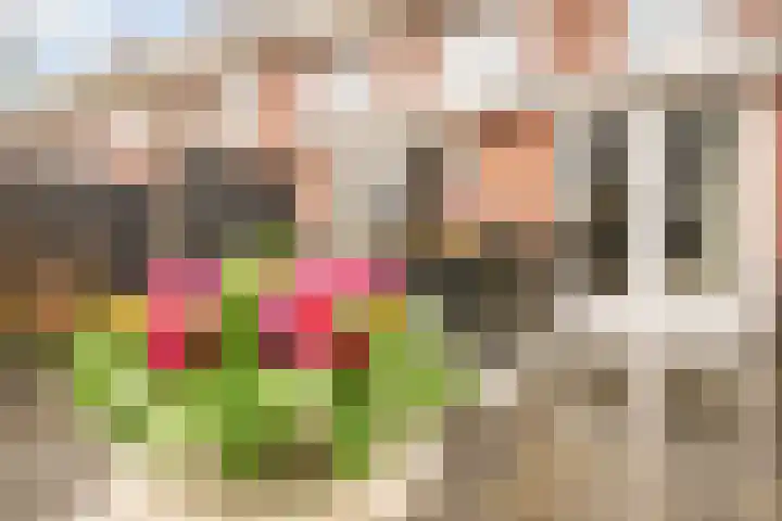 Lokaalspoor 24 Houten thumbnail 30