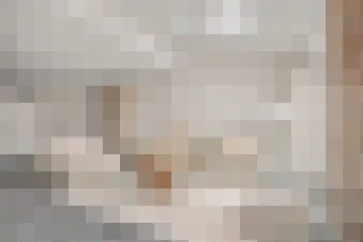 Lokaalspoor 24 Houten thumbnail 5