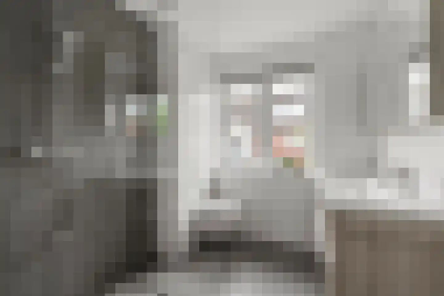 Lokaalspoor 26 Houten thumbnail 25