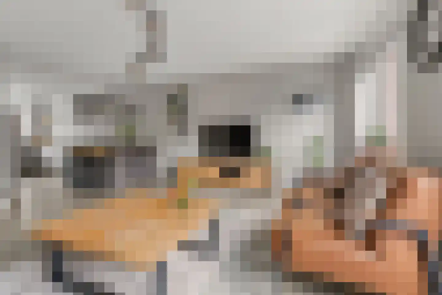 Lokaalspoor 26 Houten thumbnail 8