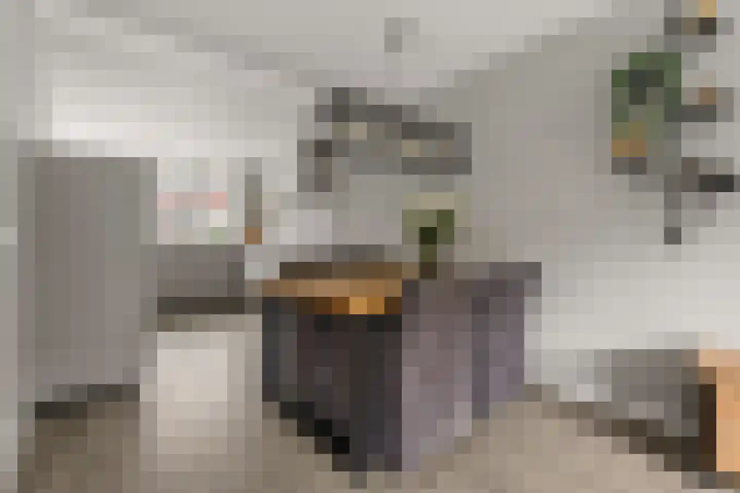Lokaalspoor 26 Houten thumbnail 9