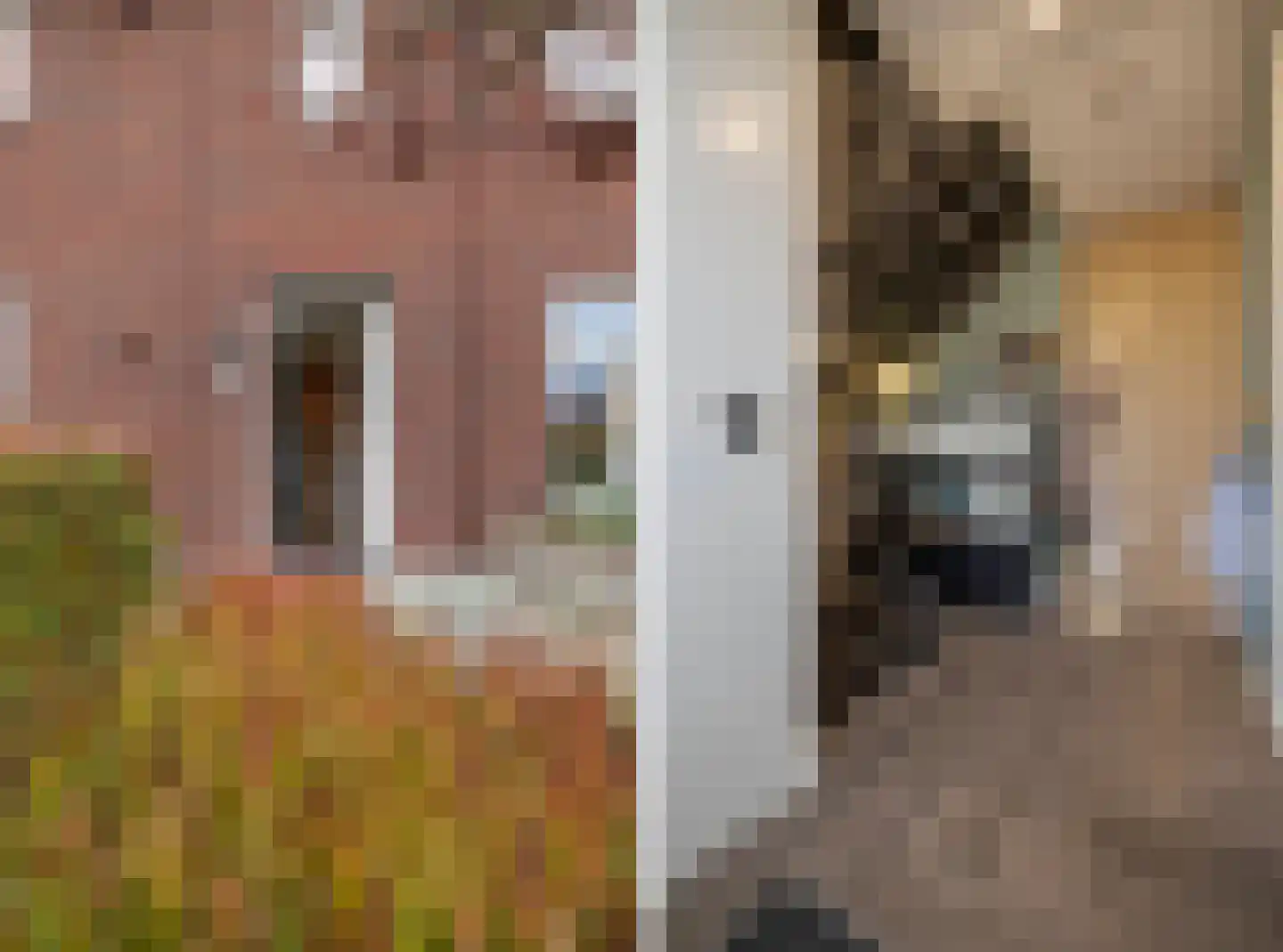 Lokaalspoor 3 Arnhem thumbnail 12