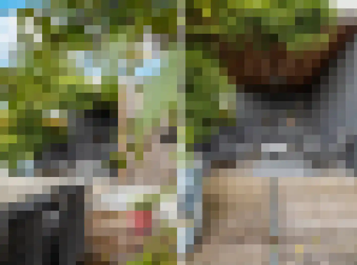 Lokaalspoor 3 Arnhem thumbnail 31