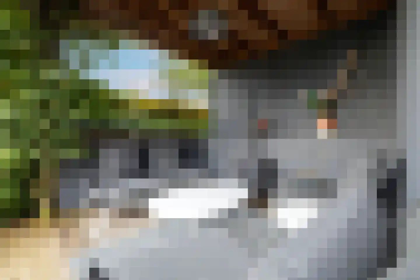 Lokaalspoor 3 Arnhem thumbnail 32