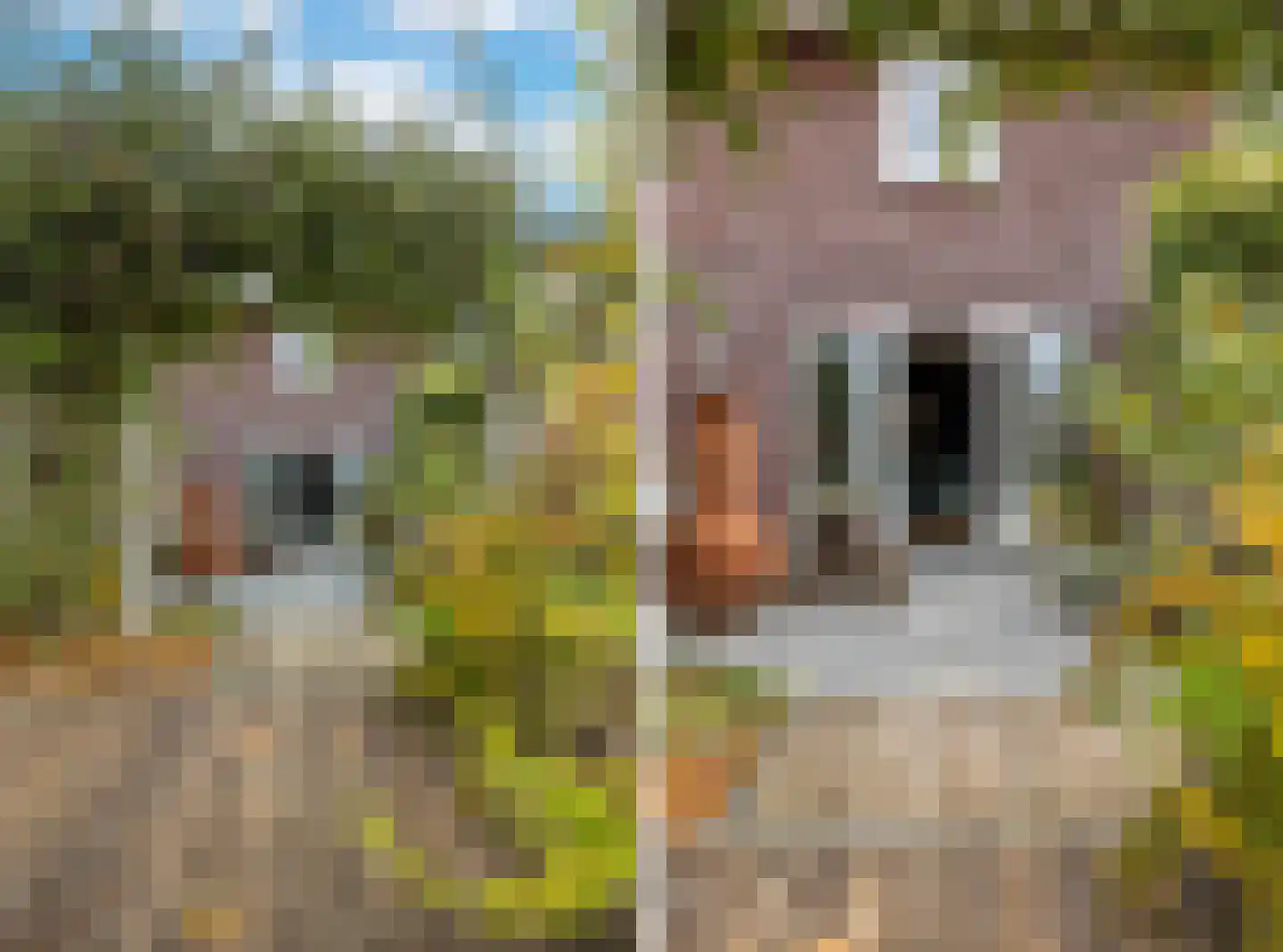 Lokaalspoor 3 Arnhem thumbnail 33