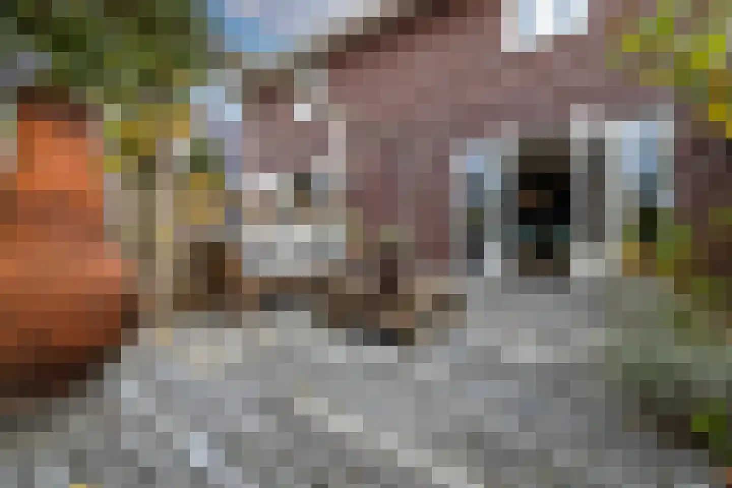 Lokaalspoor 3 Arnhem thumbnail 34