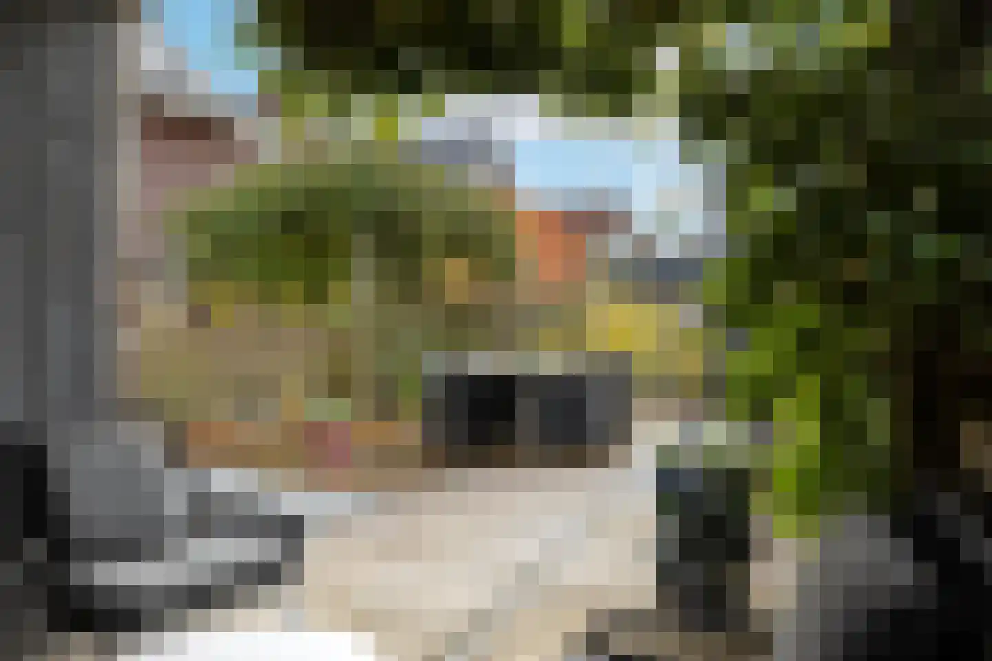 Lokaalspoor 3 Arnhem thumbnail 4