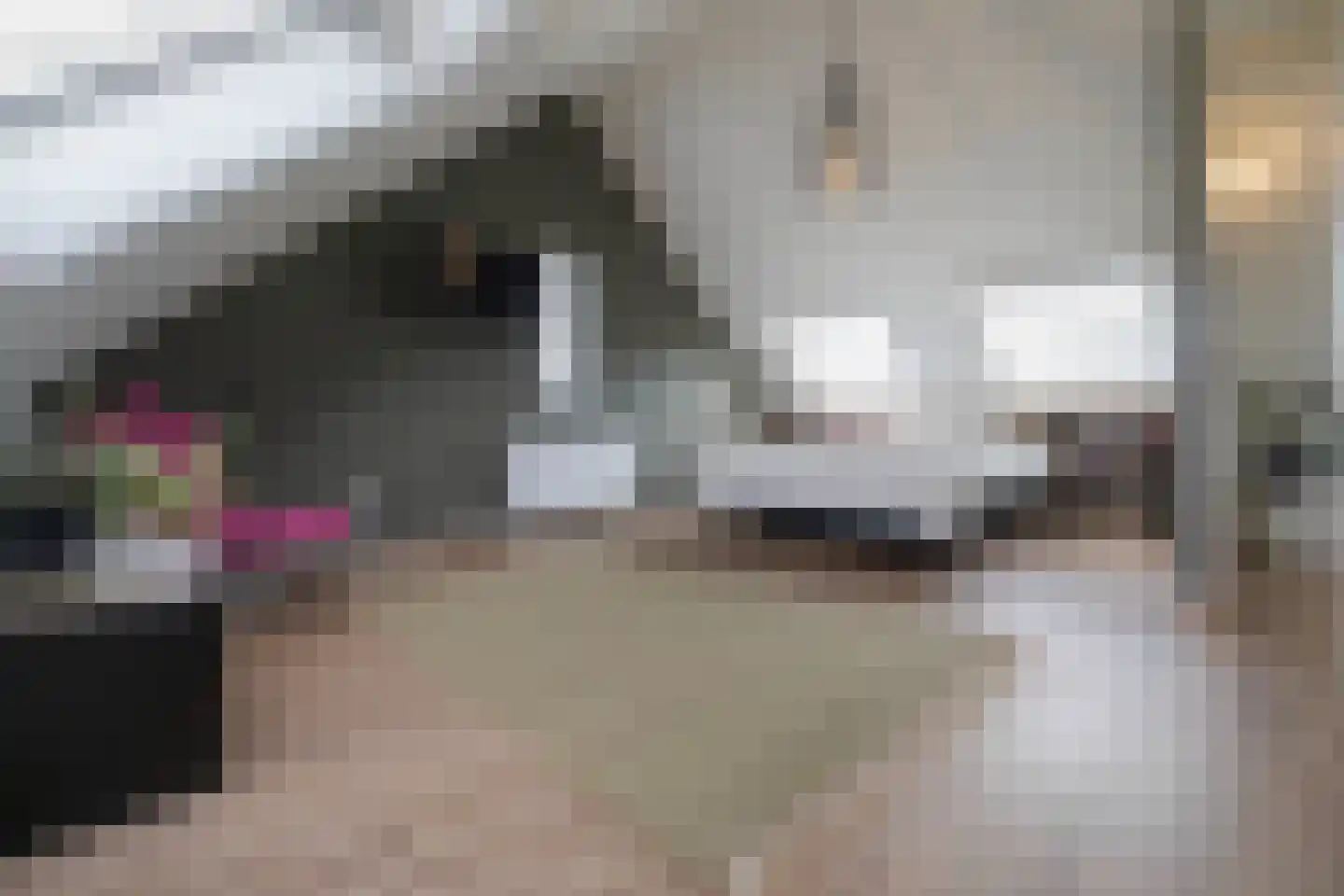 Lokaalspoor 3 Arnhem thumbnail 6