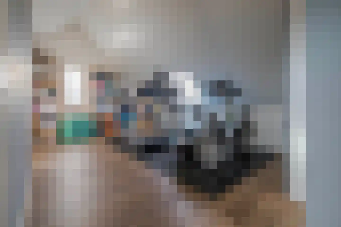 Lokaalspoor 3 Arnhem thumbnail 61
