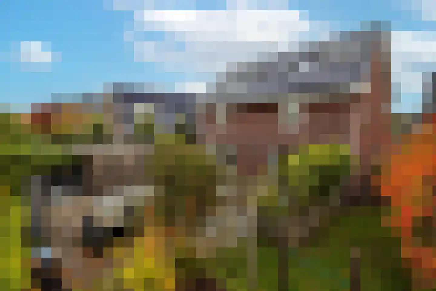 Lokaalspoor 3 Arnhem thumbnail 7