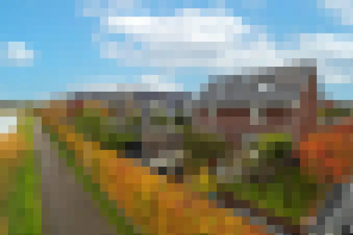 Lokaalspoor 3 Arnhem thumbnail 8