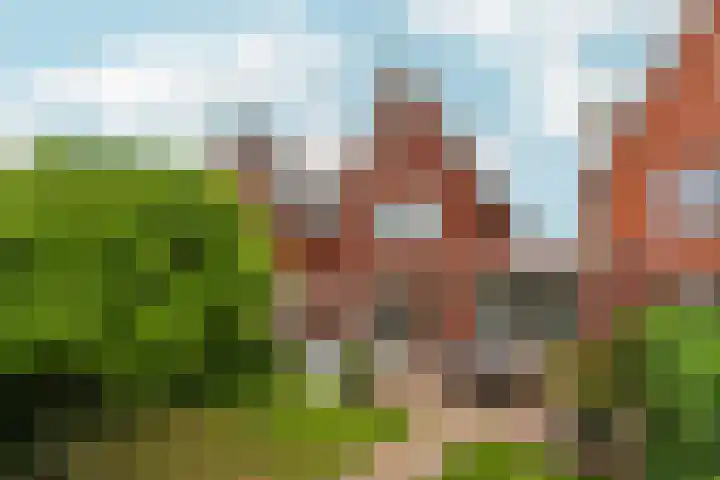 Lokaalspoor 51 Arnhem thumbnail 35