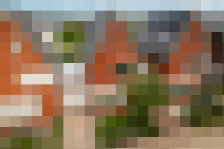 Lokaalspoor 51 Arnhem thumbnail 44