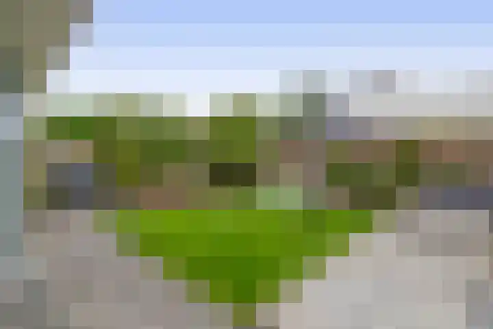 Lokaalspoor 51 Arnhem thumbnail 55