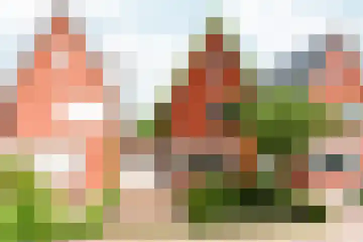 Lokaalspoor 51 Arnhem thumbnail 55